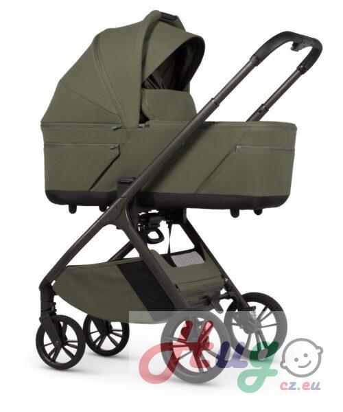 VENICCI Tila, Olive